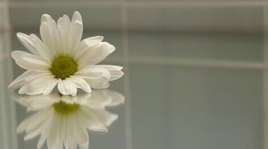 304 #8 الصلب المقاوم للصدأ صفيحة صفيحة المرآة النهاية المزود